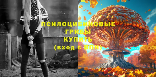 скорость Заводоуковск