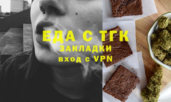 индика Дегтярск