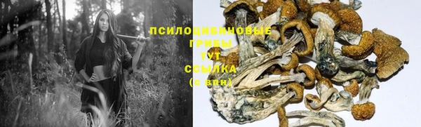 МДМА Заволжье