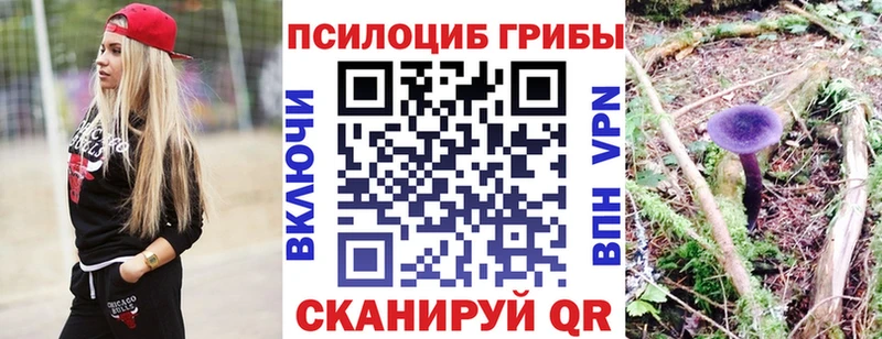 Псилоцибиновые грибы Psilocybine cubensis Калач